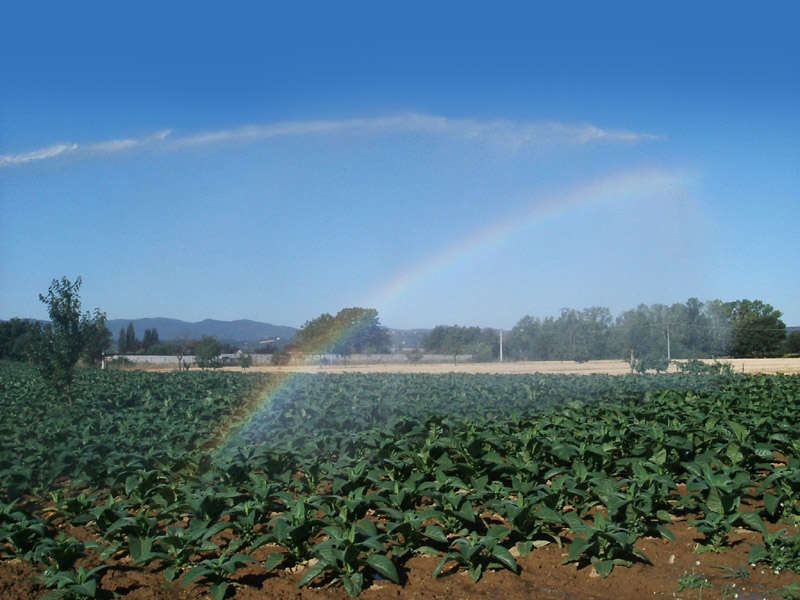 Agricoltura - Author: Alidada / photo on flickr 