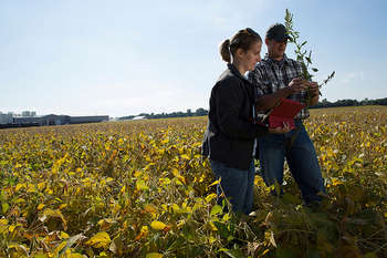 Giovani agricoltori - photo credit: United Soybean Board