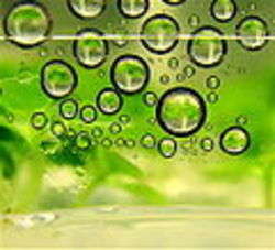 Biocarburante - foto di Flickr upload bot