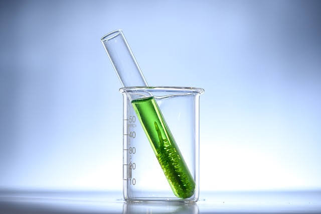 Biocarburanti - Foto di Chokniti Khongchum da Pixabay