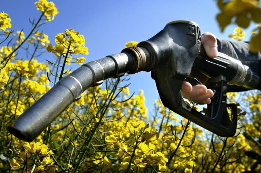 Biocarburanti - European commission credit