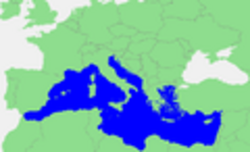 Mediterraneo 